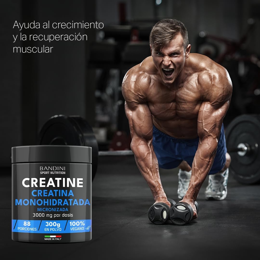 Bandini® Kreatin Pulver Mikrofasern, 100 % reines Kreatin-Monohydrat für Leistung und Muskelkraft, geschmacksneutral, inklusive 88 Portionen Dosierer, 300 Gramm, vegan – Kreatin Pulver