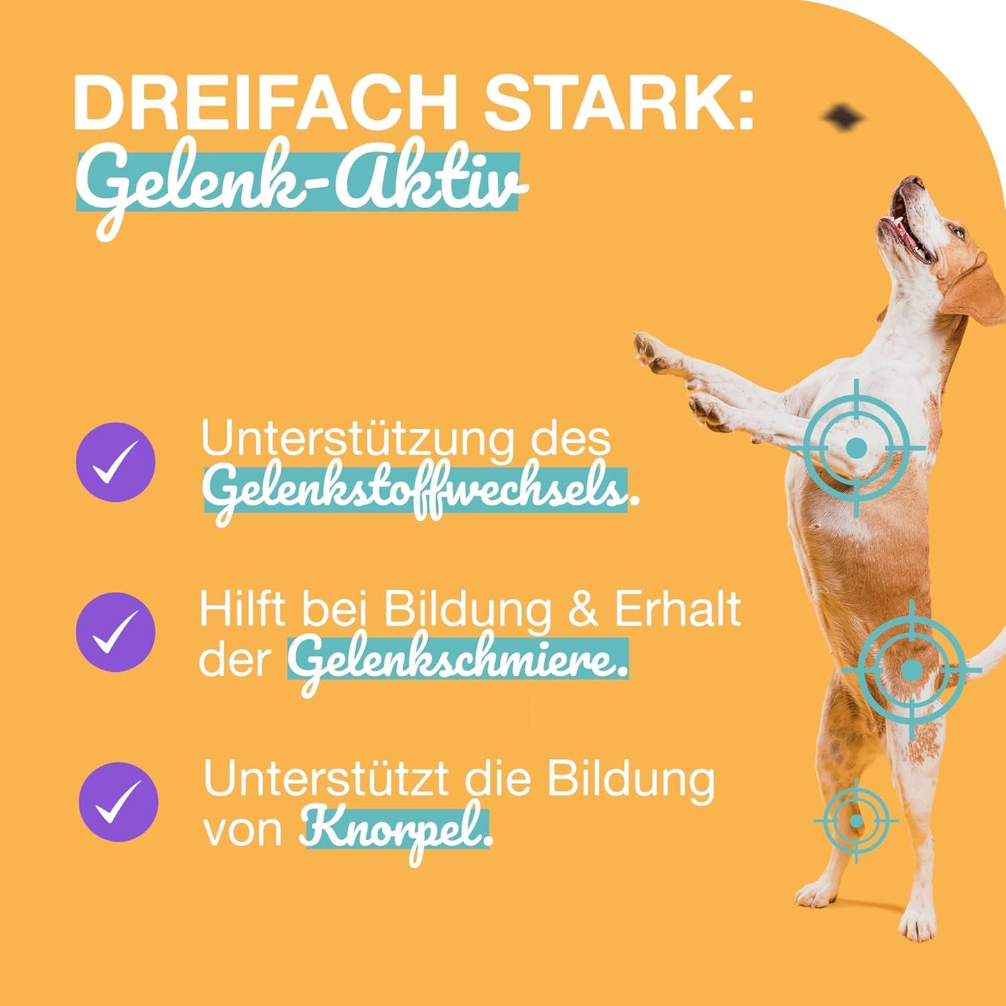 Gelenktabletten Hund I 180 Gelenk Aktiv Snacks als leckere Alternative zu klassischen Tabletten mit Grünlippmuschel, MSM, Glucosamin & Chondroitin I Arthrose I Unterstützt die Gelenke & Knochen