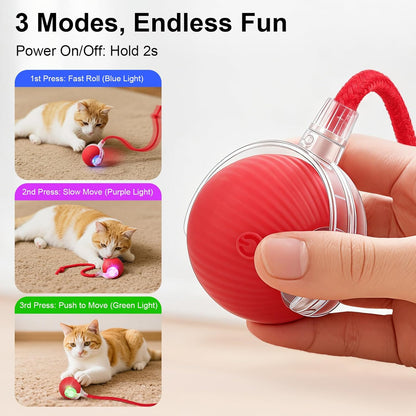 Interactive Rolling Pet Toy – Motion Play for Cats & Dogs