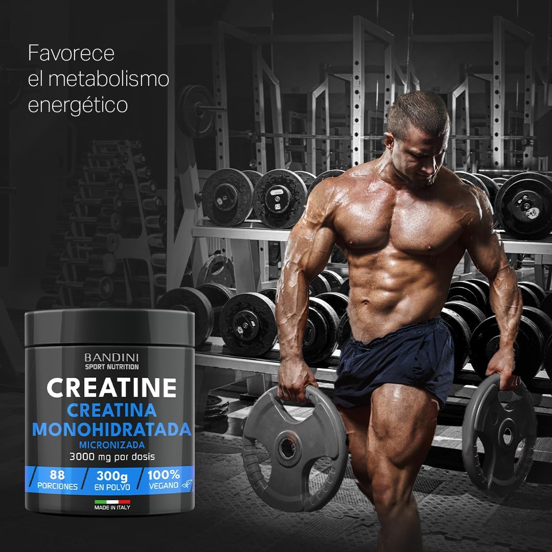 Bandini® Kreatin Pulver Mikrofasern, 100 % reines Kreatin-Monohydrat für Leistung und Muskelkraft, geschmacksneutral, inklusive 88 Portionen Dosierer, 300 Gramm, vegan – Kreatin Pulver