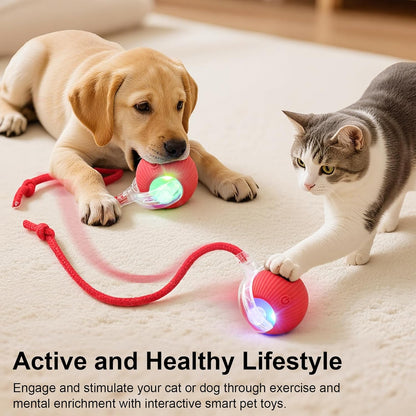 Interactive Rolling Pet Toy – Motion Play for Cats & Dogs