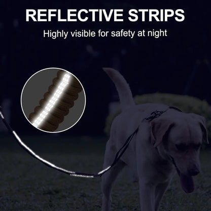 Reflective Dog Leash with Seatbelt Buckle