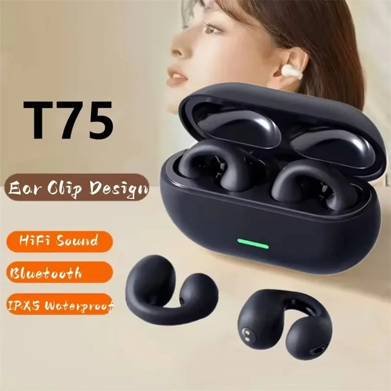 T75 True Wireless Earbuds — Touch Control, Bluetooth 5.3
