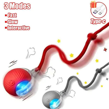 Interactive Rolling Pet Toy – Motion Play for Cats & Dogs