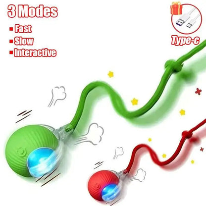 Interactive Rolling Pet Toy – Motion Play for Cats & Dogs
