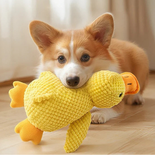 Plush Duck Squeaky Dog Toy — product image 1