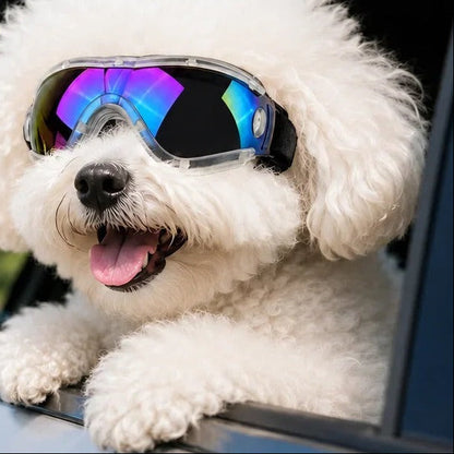 Pet Adjustable Dog Goggles – Anti-UV Sun Glasses for Eye Protection — product image 1
